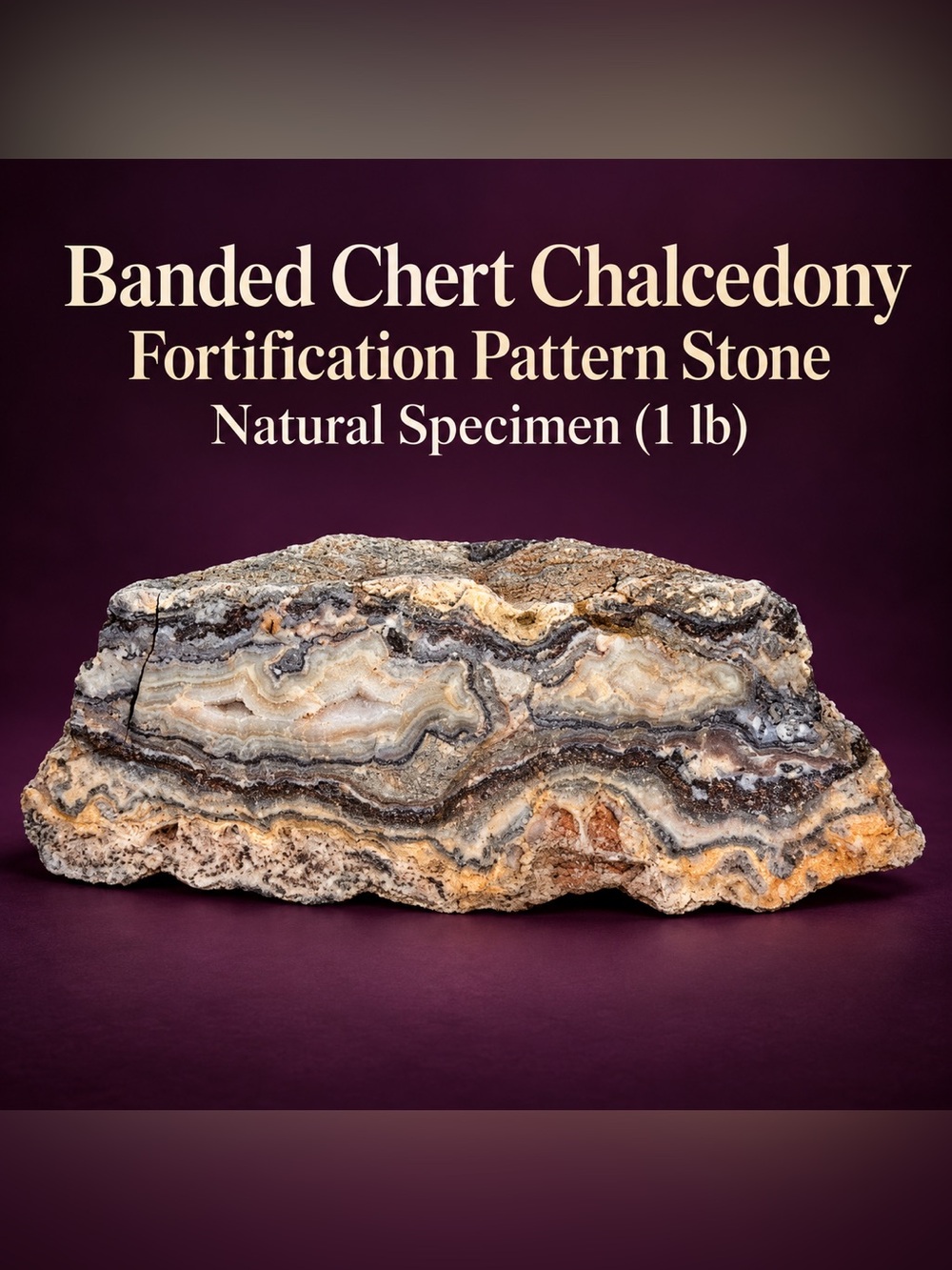 Banded Chert Chalcedony | Fortification Pattern Stone | 1 lb Natural Specimen